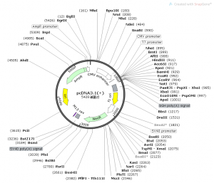 微信图片_20220314172742 人ELISA 2